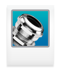 metalcg